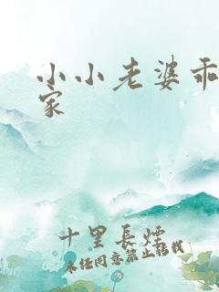 小小老婆乖乖回家