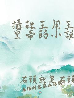 摄政王用玉髓整皇帝的小说