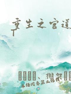 重生之官道TXT