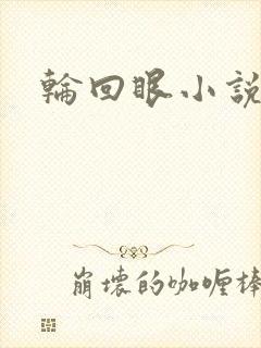 轮回眼小说