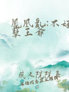 凤凰乱:不嫁妖孽王爷
