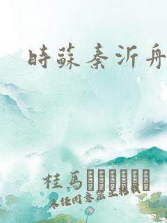 时苏秦沂舟小说