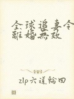 全球追妻令老婆离婚无效