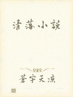 清落小说