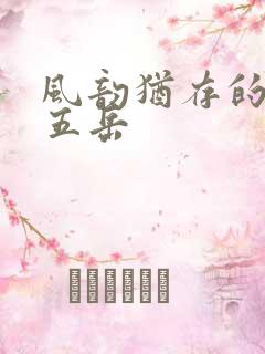 风韵犹存的四十五岳