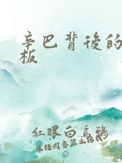 辛巴背后的人老板