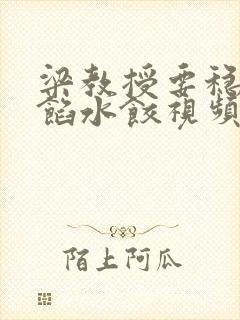 梁教授要稳住肉馅水饺视频