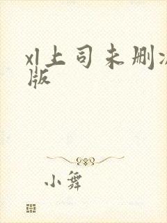 xl上司未删减版