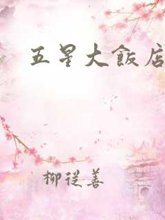 五星大饭店小说