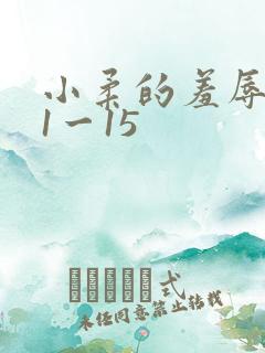 小柔的羞辱日记1一15