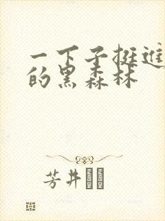 一下子挺进浓密的黑森林