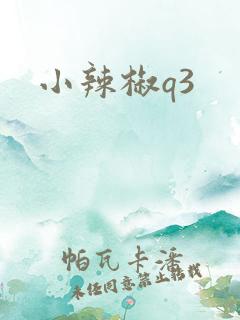小辣椒q3