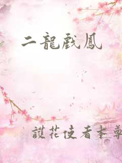 二龙戏凤