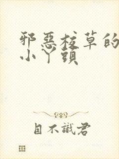 邪恶校草的拽拽小丫头