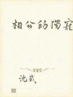 相公的独宠妻子