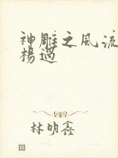 神雕之风流浪子杨过