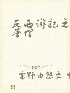 反西游记之混混唐僧