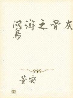 网游之骨灰级菜鸟