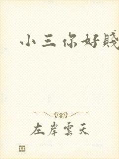 小三你好贱下载