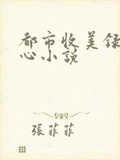 都市收美录宁素心小说