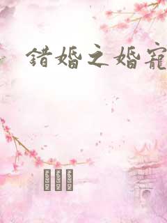 错婚之婚宠一世