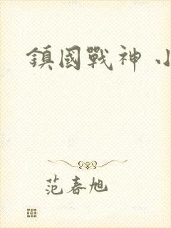 镇国战神 小说
