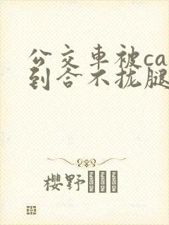 公交车被cao到合不拢腿app