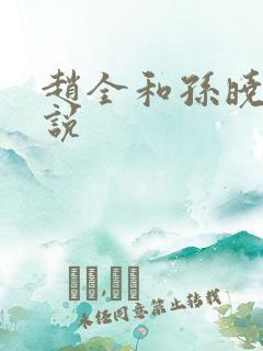 赵全和孙晓云小说