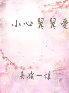 小心翼翼爱上你