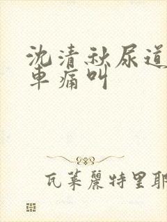 沈清秋尿道扩张车痛叫