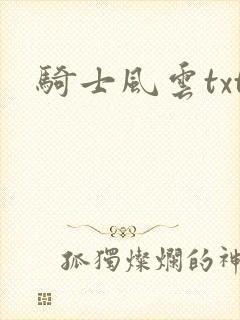 骑士风云txt