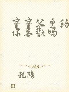 宝宝父皇的东西你喜欢吗