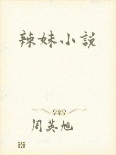 辣妹小说