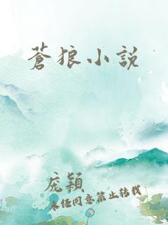 苍狼小说
