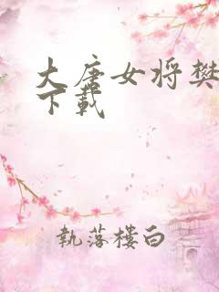 大唐女将樊梨花下载