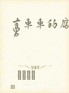 有车车的腐肉双男