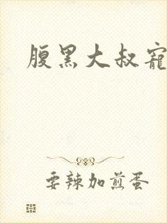 腹黑大叔宠小妻