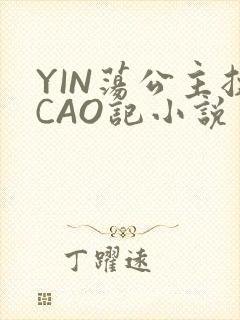 YIN荡公主挨CAO记小说
