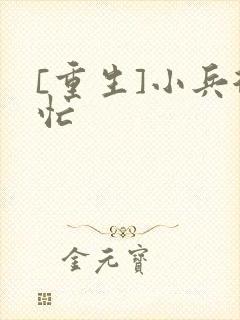 [重生]小兵很忙