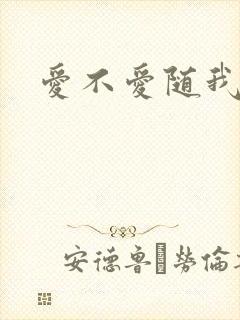 爱不爱随我