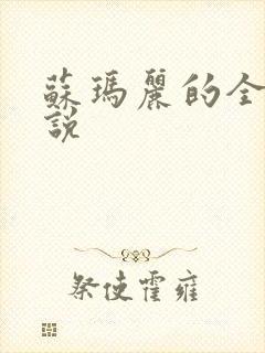 苏玛丽的全部小说