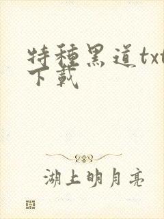 特种黑道txt下载