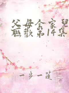 父母全家儿女大联欢第14集