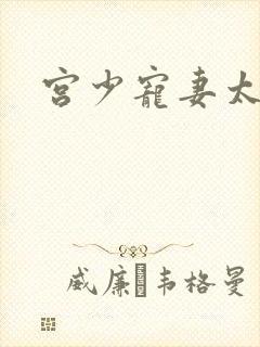 宫少宠妻太凶猛