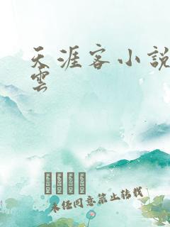 天涯客小说百度云