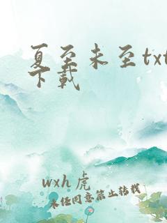 夏至未至txt下载