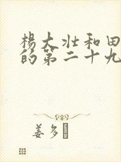 杨大壮和田桂花的第二十九