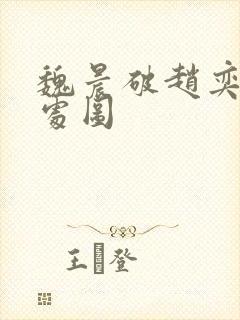 魏晨破赵奕欢的处图