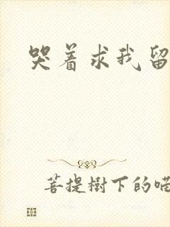 哭着求我留下来