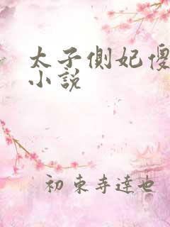 太子侧妃傻乎乎小说